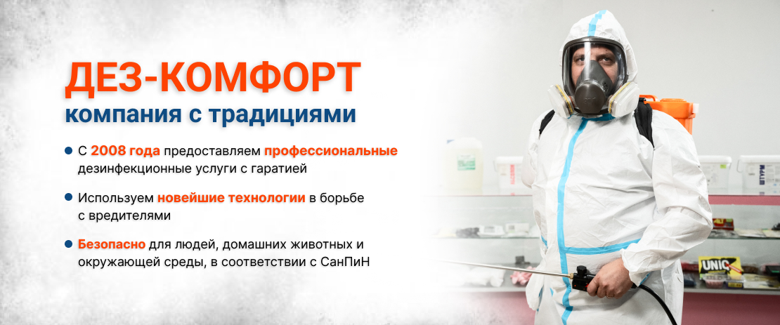 Служба дезинсекции, дератизации и дезинфекции в Стерлитамаке – ДЕЗ-Комфорт