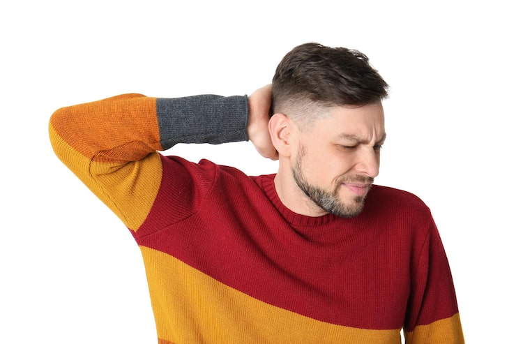 Анатомия шейного отдела и механизмы хруста