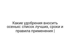 Какие удобрения вносить осенью: список лучших, сроки и правила применения |