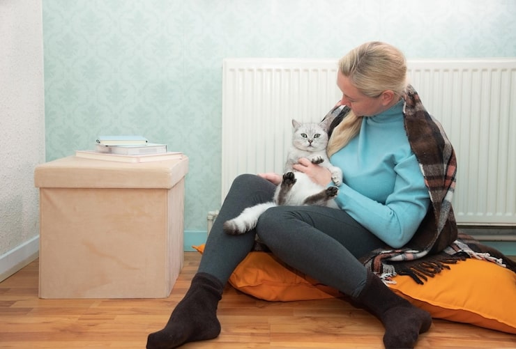 Потеря домашнего любимца – это событие, которое может вызвать глубокую боль и скорбь. Коты становятся не только членами семьи, но и верными компаньонами, которые наполняют наши дни лаской и радостью. Когда они уходят из нашей жизни, пустота, оставшаяся после них, может показаться невыносимой.